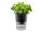 GEFU® Übertopf Botanico Metall, Ø 14,2 cm schwarz rund, 1 St.