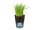 GEFU® Übertopf Botanico Metall, Ø 14,2 cm schwarz rund, 1 St.