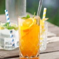 Sodapop BLUNA ohne Zucker Sirup 0,5 l
