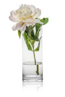 RONA Vase Ambiente transparent, 1 St.