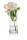 RONA Vase Ambiente transparent, 1 St.