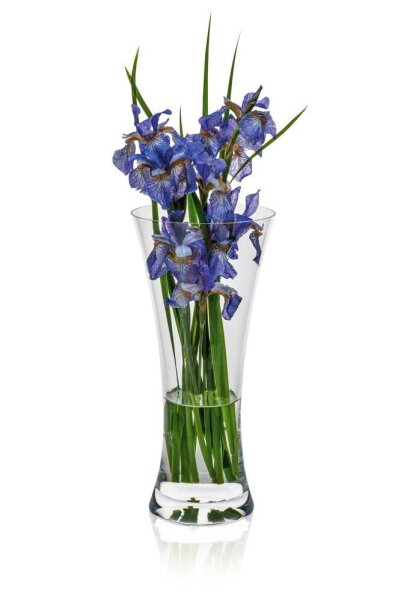 RONA Vase Ambiente transparent, 1 St.