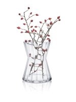 RONA Vase Ambiente transparent, 1 St.