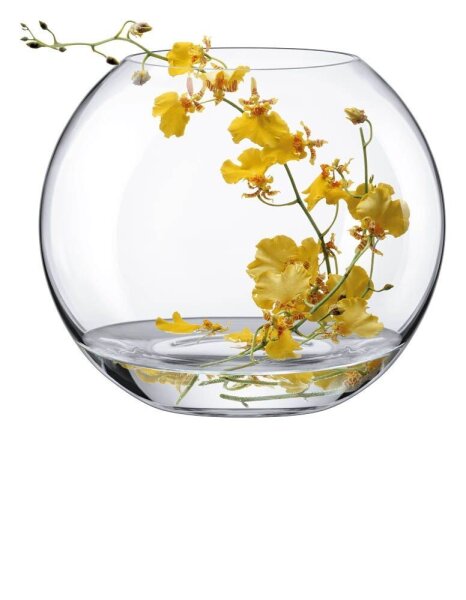 RONA Vase Ambiente transparent, 1 St.