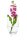 RONA Vase Ambiente transparent, 1 St.