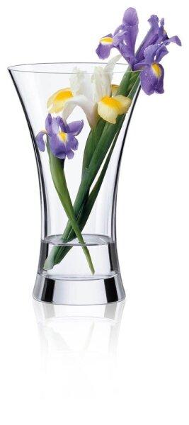 RONA Vase Ambiente transparent, 1 St.