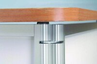 update displays Messetheke Konvex gebogen, buche 106,0 x 58,0 x 93,0 cm