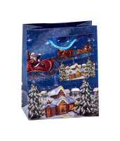 12 TSI Geschenktüten Weihnachten Serie 7 Motiv sortiert 11,0 x 14,0 cm