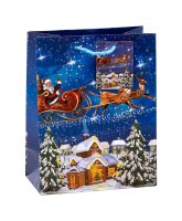 12 TSI Geschenktüten Weihnachten Serie 7 Motiv sortiert 18,0 x 23,0 cm