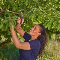GARDENA PremiumCut Gartenschere