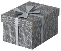 Esselte Home Aufbewahrungsboxen 6,5 l grau 20,0 x 25,5 x 15,0 cm, 3 St.