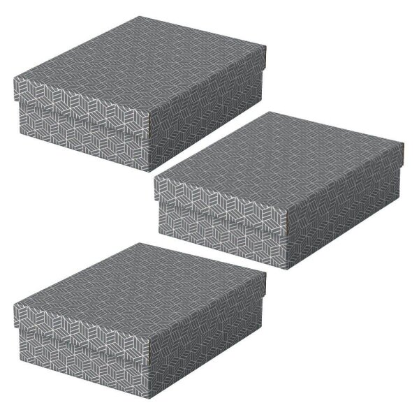 Esselte Home Aufbewahrungsboxen 8,0 l grau 26,5 x 36,0 x 10,0 cm, 3 St.
