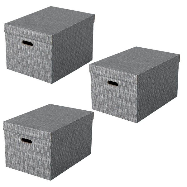 Esselte Home Aufbewahrungsboxen 50,0 l grau 35,5 x 51,0 x 30,5 cm, 3 St.