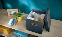 LEITZ Click & Store Cosy Aufbewahrungsbox 32,5 l grau 32,0 x 36,0 x 31,0 cm, 1 St.
