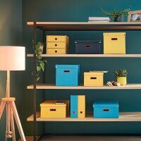 LEITZ Click & Store Cosy Aufbewahrungsbox 32,0 l blau 36,9 x 48,2 x 20,0 cm, 1 St.