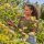 GARDENA PremiumCut Flex Gartenschere
