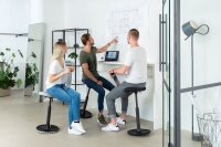 Topstar Sitz- & Stehhocker Sitness H2 - Skateboardsitzform SH400 CV0 schwarz, 1 St.