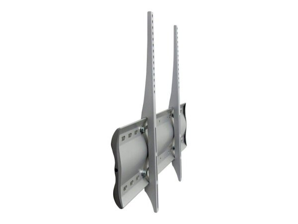 ergotron TV-Wandhalterung WM XL starr silber