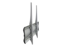 ergotron TV-Wandhalterung WM XL starr silber