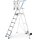 ZARGES Podestleiter ZAP Safemaster Max S silber 6 Stufen