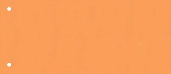 BRUNNEN Trennstreifen orange/lachs, 180 g/qm Karton 24,0 x 10,5 cm, 10 St.