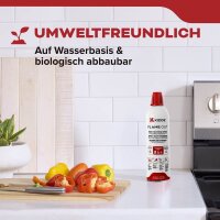 Kidde KSF 500 Feuerlöscher Pulver 0,5 l