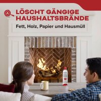 Kidde KSF 500 Feuerlöscher Pulver 0,5 l