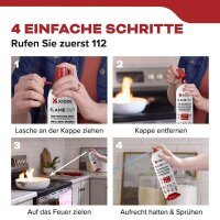 Kidde KSF 500 Feuerlöscher Pulver 0,5 l