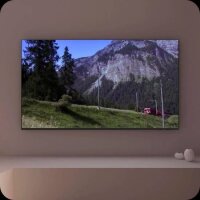 SAMSUNG GQ55S85FAUXZG Smart-TV 138,0 cm (55,0 Zoll)