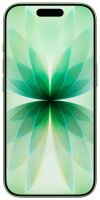 Apple iPhone 17 salbei 256 GB