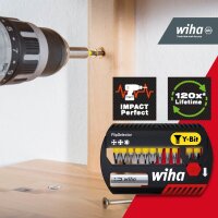 Wiha Bit-Set FlipSelector Y-Bit 41824, 13-tlg.