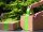 tesa Packband tesapack® Strong Recycled 100% recycled plastic grün 50,0 mm x 66,0 m 1 Rolle