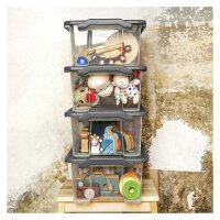 rotho Evo Safe Keeping Aufbewahrungsboxen 15,0 l anthrazit 39,9 x 28,3 x 23,0 cm, 1 St.