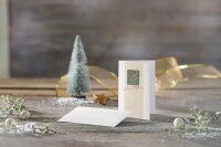 10 SIGEL Weihnachtskarten White Apple DIN A6