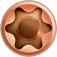 SPAX® Terrassenschrauben T25 Zylinderkopf Edelstahl A2 0537900500603 5 mm x 60 mm, 100 St.