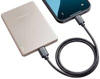 Intenso MW5000 Powerbank 5.000 mAh champagner
