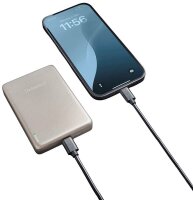 Intenso MW10000 Powerbank 10.000 mAh champagner