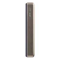 Intenso MW10000 Powerbank 10.000 mAh champagner