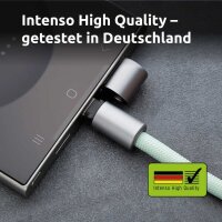 Intenso Charging Lanyard Handykette Ladekabel grün, Kabellänge: 1,65 m, 60 Watt