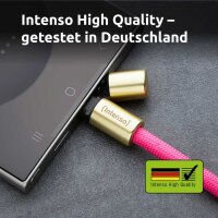Intenso Charging Lanyard Handykette Ladekabel neon pink, Kabellänge: 1,65 m, 60 Watt