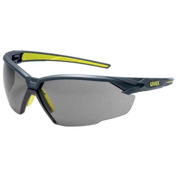 uvex Schutzbrille suXXeed 9181 anthrazit, 1 St.