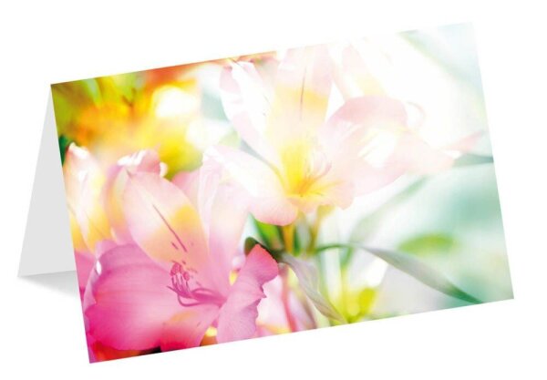 LUMA Grußkarte Blumen DIN B6