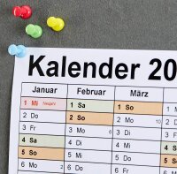 Gowi Pinnnadeln farbsortiert, 200 St.