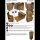 10 Cartonia Archivcontainer braun 50,2 x 35,6 x 31,0 cm