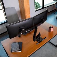 ergotron Monitor-Halterung LX Dual Direct 45-489-224 schwarz für 2 Monitore, Tischklemme