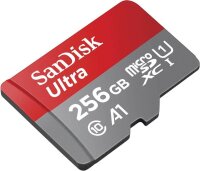 SanDisk Speicherkarte microSDXC Ultra, 256 GB, 1 St.