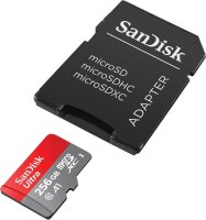 SanDisk Speicherkarte microSDXC Ultra, 256 GB, 1 St.