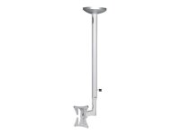 Neomounts TV-Deckenhalterung FPMA-C050 silber