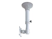 Neomounts TV-Deckenhalterung FPMA-C025 silber