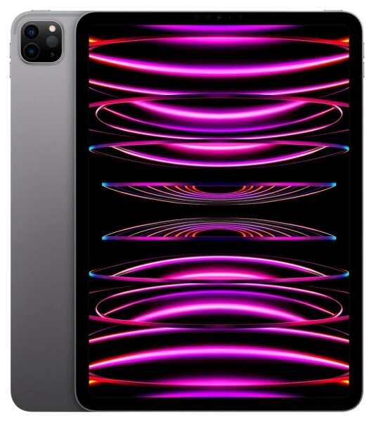 Apple iPad Pro 11.0 4.Gen (2022) WiFi 27,9 cm (11,0 Zoll) 256 GB spacegrau